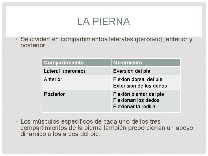 LA PIERNA • Se dividen en compartimientos laterales (peroneo), anterior y posterior. Compartimiento Movimiento