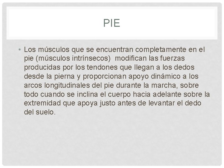 PIE • Los músculos que se encuentran completamente en el pie (músculos intrínsecos) modifican