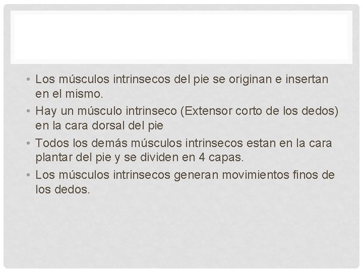 • Los músculos intrinsecos del pie se originan e insertan en el mismo.