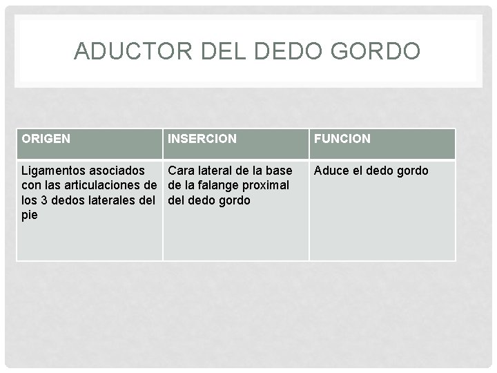 ADUCTOR DEL DEDO GORDO ORIGEN INSERCION Ligamentos asociados Cara lateral de la base con