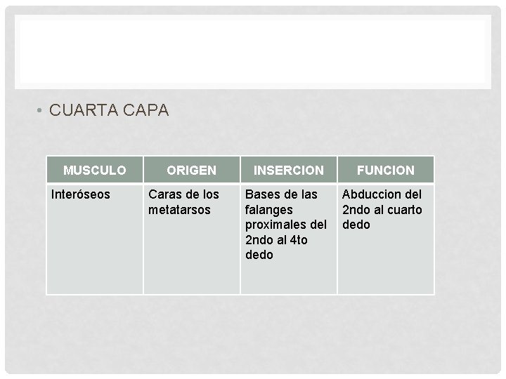  • CUARTA CAPA MUSCULO Interóseos ORIGEN INSERCION FUNCION Caras de los metatarsos Bases