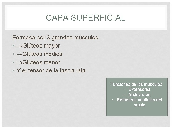 CAPA SUPERFICIAL Formada por 3 grandes músculos: • Glúteos mayor • Glúteos medios •
