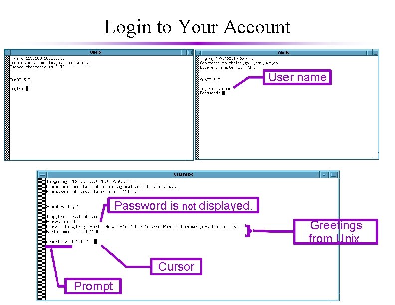 Login to Your Account User name Password is not displayed. Greetings from Unix. Cursor