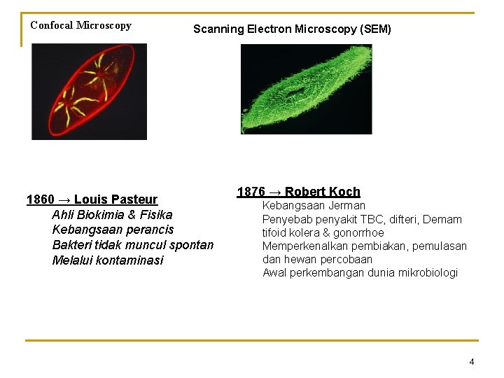 Confocal Microscopy Scanning Electron Microscopy (SEM) 1860 → Louis Pasteur Ahli Biokimia & Fisika