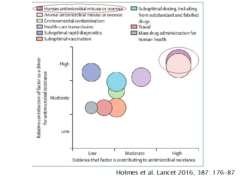 Holmes et al. Lancet 2016; 387: 176– 87 
