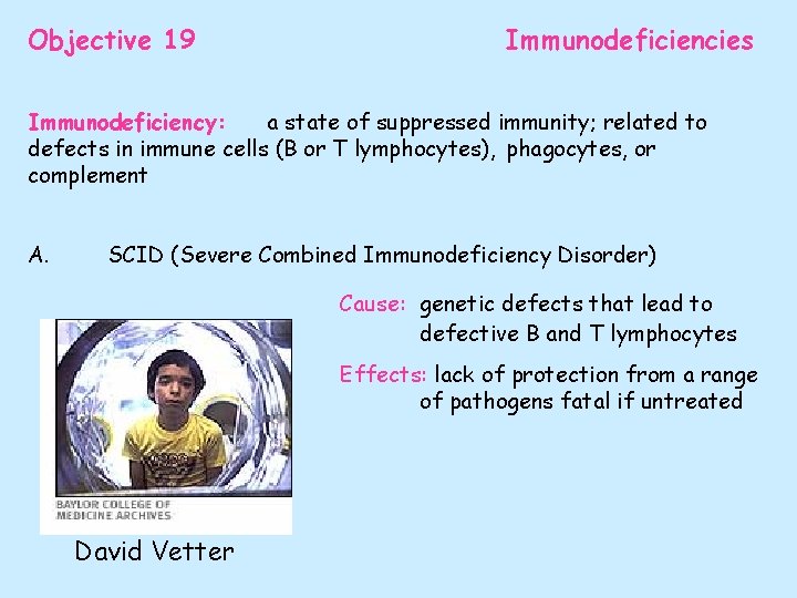 Objective 19 Immunodeficiencies Immunodeficiency: a state of suppressed immunity; related to defects in immune
