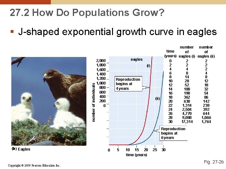 27. 2 How Do Populations Grow? number of individuals § J-shaped exponential growth curve