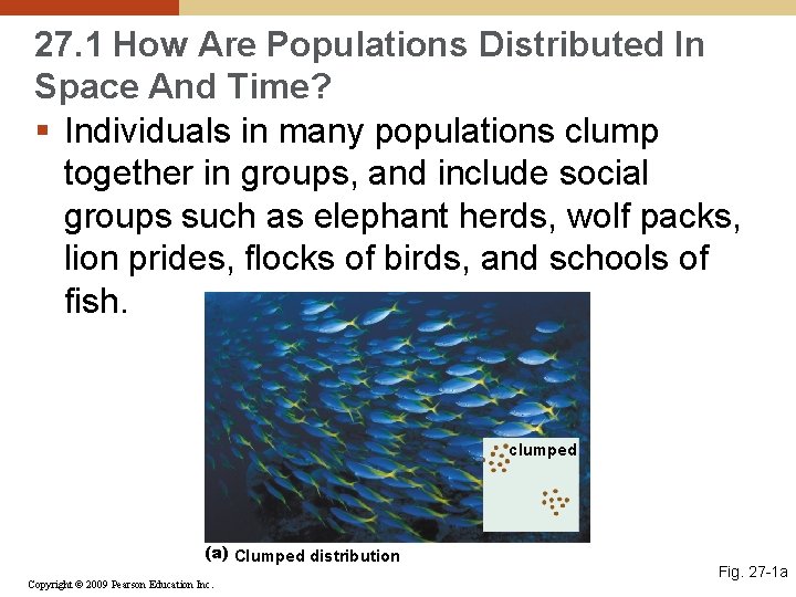 27. 1 How Are Populations Distributed In Space And Time? § Individuals in many