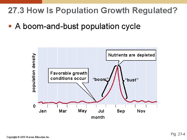 27. 3 How Is Population Growth Regulated? § A boom-and-bust population cycle population density