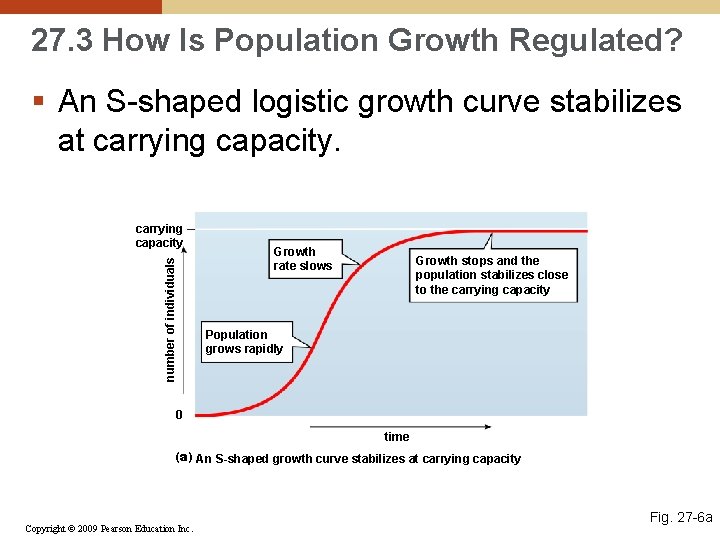 27. 3 How Is Population Growth Regulated? § An S-shaped logistic growth curve stabilizes