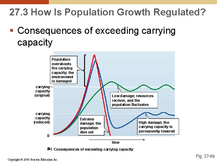 27. 3 How Is Population Growth Regulated? § Consequences of exceeding carrying capacity Population