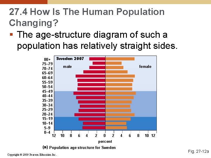 27. 4 How Is The Human Population Changing? § The age-structure diagram of such
