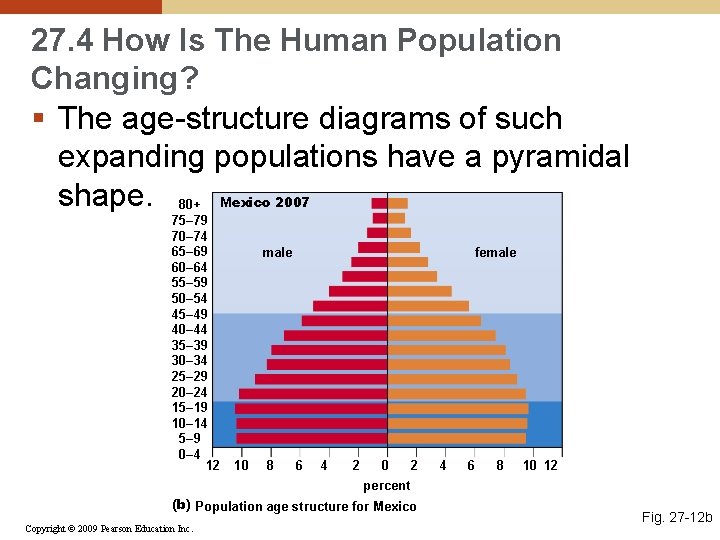 27. 4 How Is The Human Population Changing? § The age-structure diagrams of such