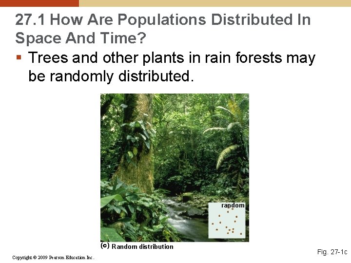 27. 1 How Are Populations Distributed In Space And Time? § Trees and other