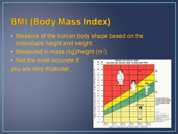 BMI (Body Mass Index) • Measure of the human body shape based on the