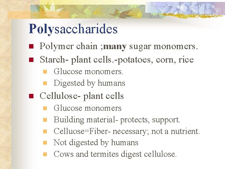 Polysaccharides n n Polymer chain ; many sugar monomers. Starch- plant cells. -potatoes, corn,