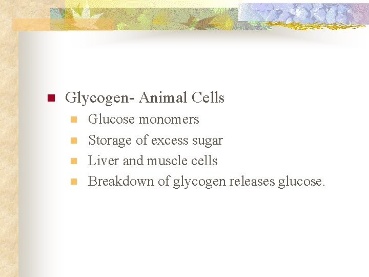 n Glycogen- Animal Cells n n Glucose monomers Storage of excess sugar Liver and