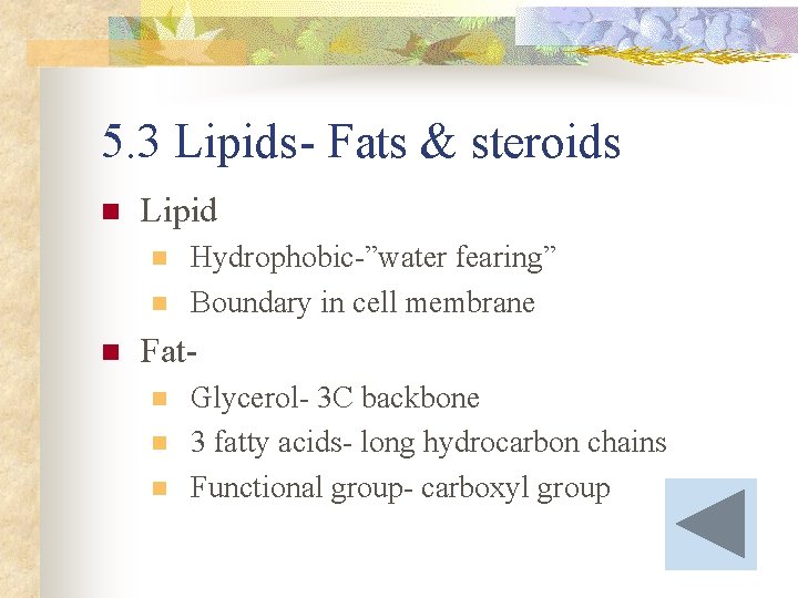 5. 3 Lipids- Fats & steroids n Lipid n n n Hydrophobic-”water fearing” Boundary