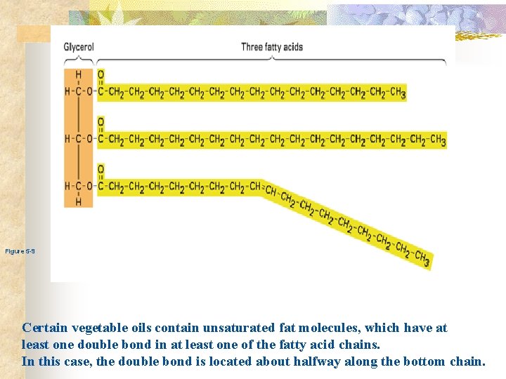  Figure 5 -9 Certain vegetable oils contain unsaturated fat molecules, which have at