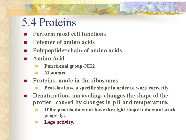 5. 4 Proteins n n Perform most cell functions Polymer of amino acids Polypeptide=chain