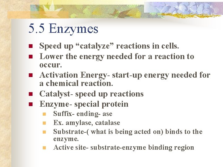 5. 5 Enzymes n n n Speed up “catalyze” reactions in cells. Lower the