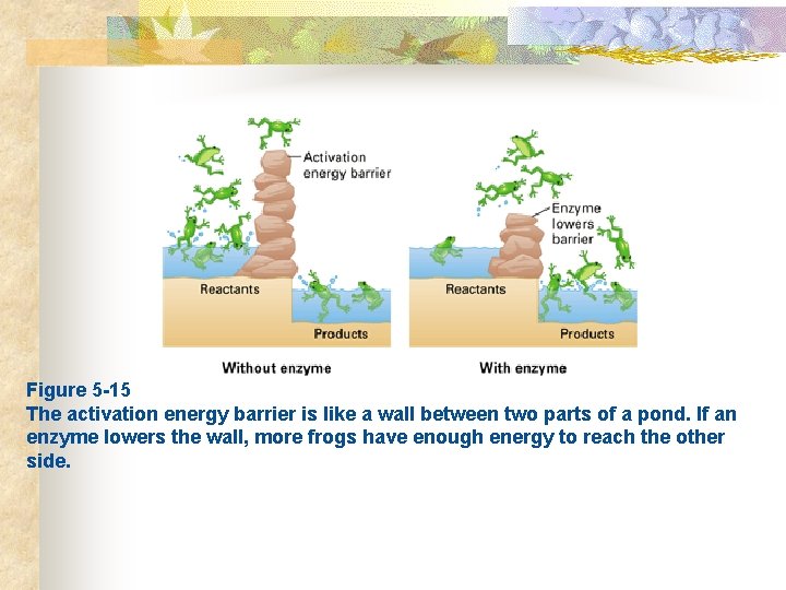  Figure 5 -15 The activation energy barrier is like a wall between two