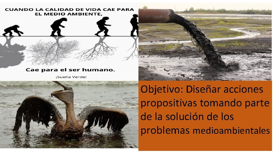 Objetivo: Diseñar acciones propositivas tomando parte de la solución de los problemas medioambientales 