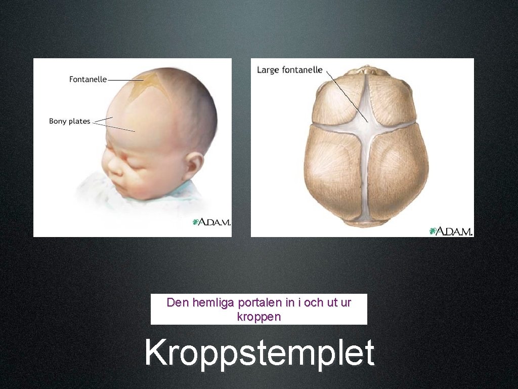 Den hemliga portalen in i och ut ur kroppen Kroppstemplet 