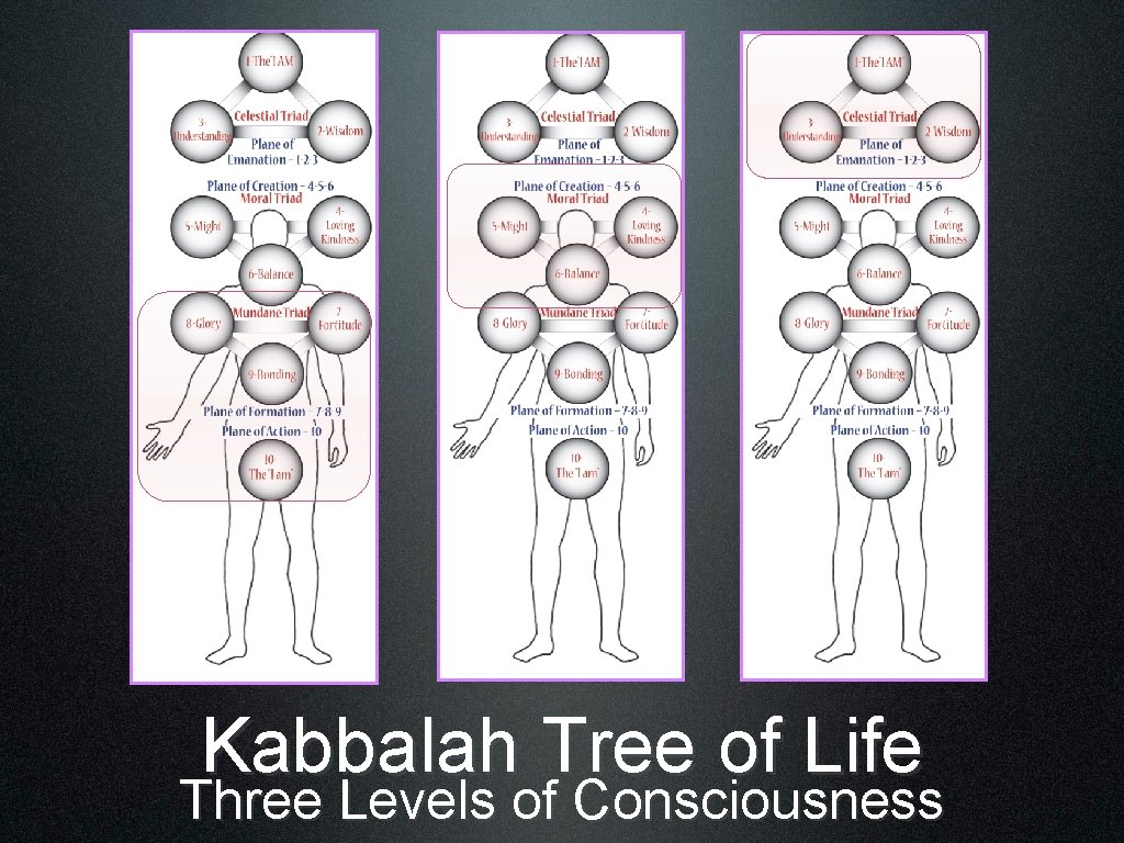 Kabbalah Tree of Life Three Levels of Consciousness 