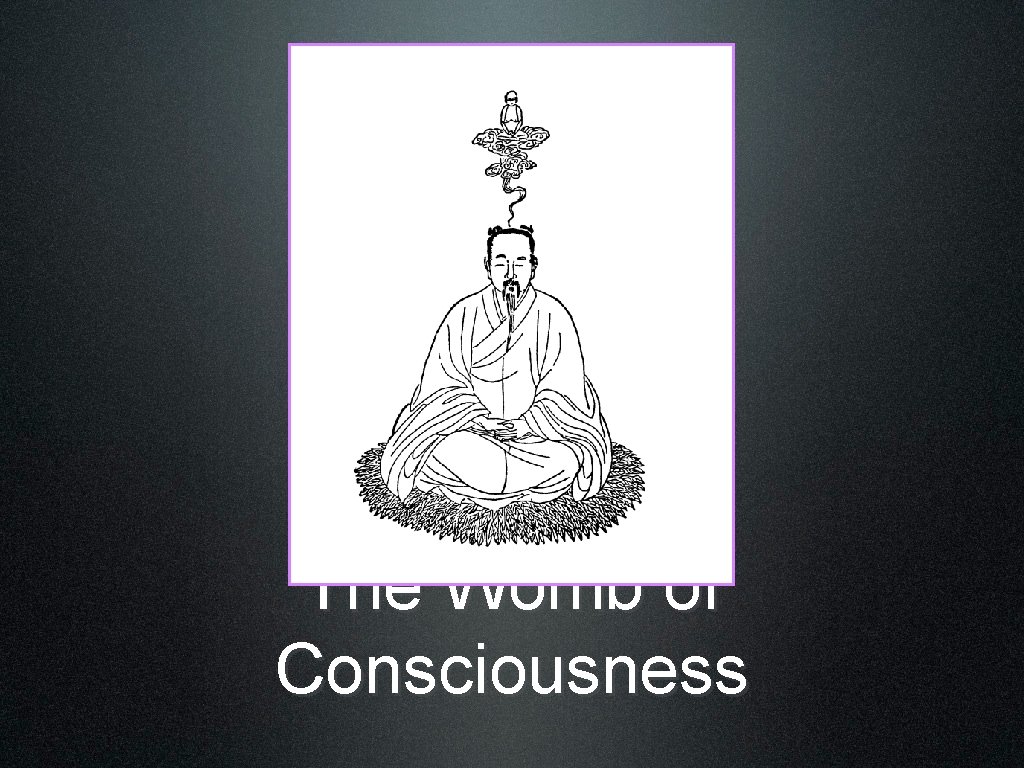 The Womb of Consciousness 