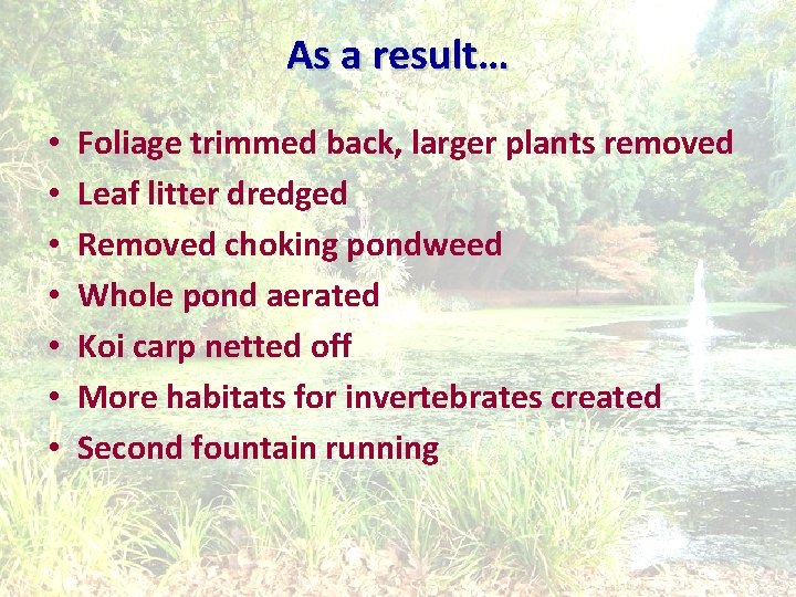 As a result… • • Foliage trimmed back, larger plants removed Leaf litter dredged