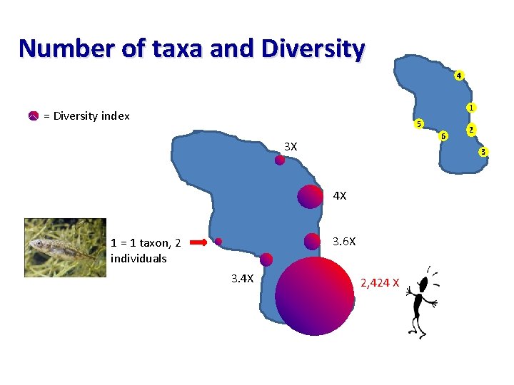 Number of taxa and Diversity 4 1 = Diversity index 5 6 3 X