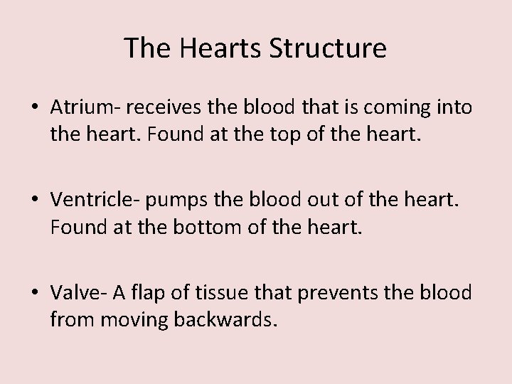 The Hearts Structure • Atrium- receives the blood that is coming into the heart.