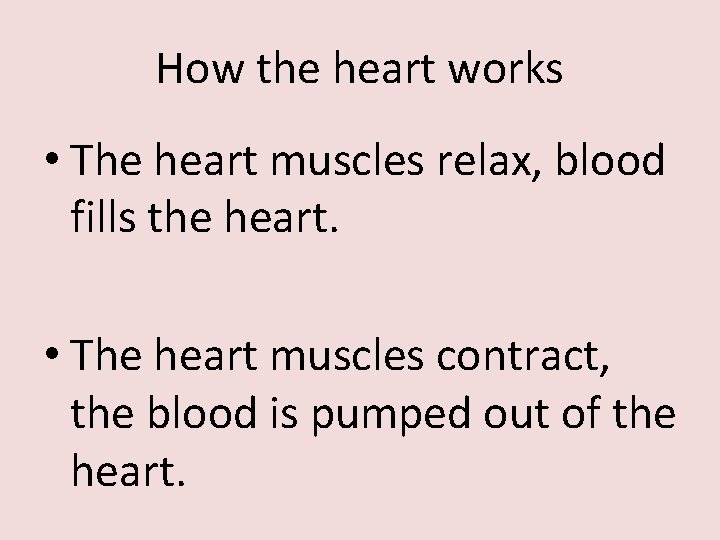 How the heart works • The heart muscles relax, blood fills the heart. •