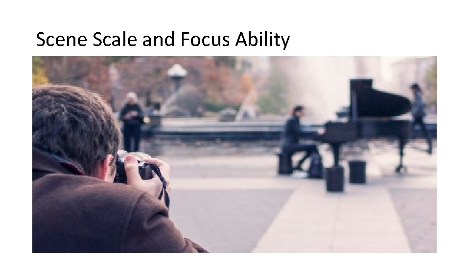 Scene Scale and Focus Ability 