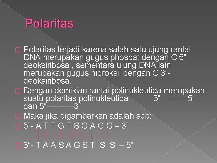 Polaritas terjadi karena salah satu ujung rantai DNA merupakan gugus phospat dengan C 5”deoksiribosa