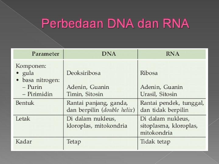 Perbedaan DNA dan RNA 