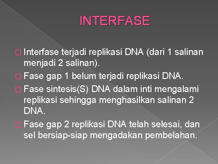 INTERFASE � Interfase terjadi replikasi DNA (dari 1 salinan menjadi 2 salinan). � Fase