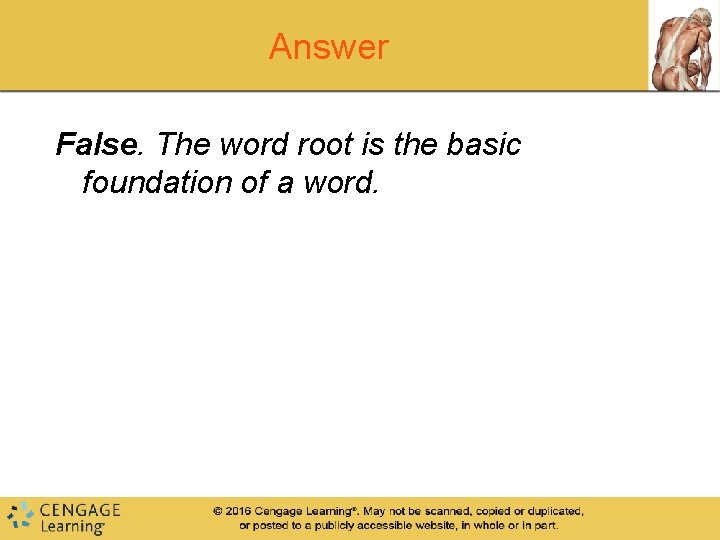 Answer False. The word root is the basic foundation of a word. 