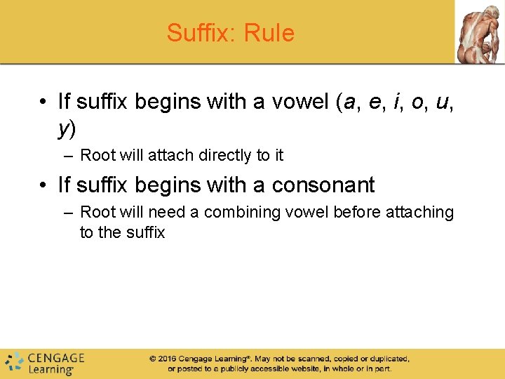Suffix: Rule • If suffix begins with a vowel (a, e, i, o, u,