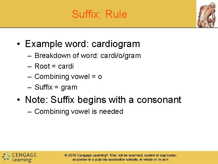 Suffix: Rule • Example word: cardiogram – – Breakdown of word: cardi/o/gram Root =