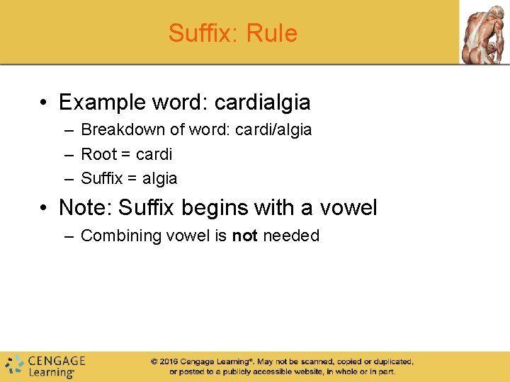 Suffix: Rule • Example word: cardialgia – Breakdown of word: cardi/algia – Root =
