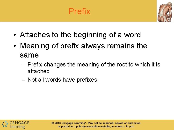 Prefix • Attaches to the beginning of a word • Meaning of prefix always