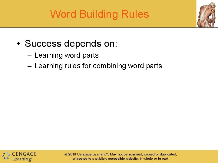 Word Building Rules • Success depends on: – Learning word parts – Learning rules