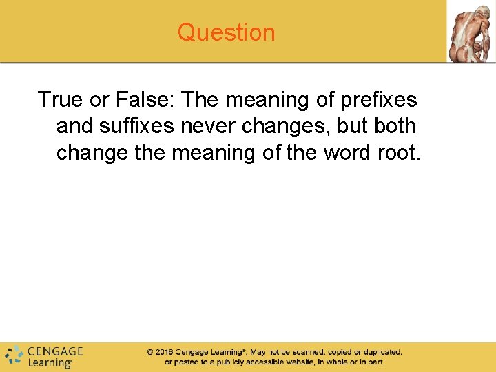 Question True or False: The meaning of prefixes and suffixes never changes, but both