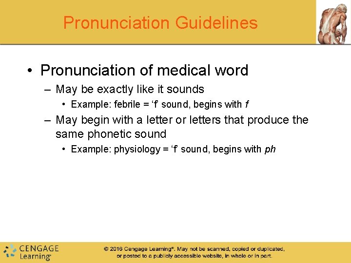 Pronunciation Guidelines • Pronunciation of medical word – May be exactly like it sounds