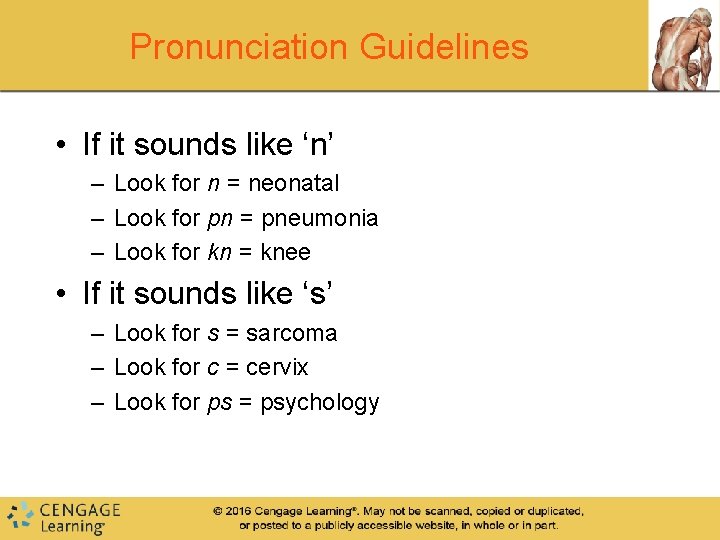 Pronunciation Guidelines • If it sounds like ‘n’ – Look for n = neonatal