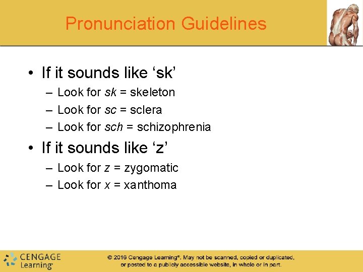 Pronunciation Guidelines • If it sounds like ‘sk’ – Look for sk = skeleton