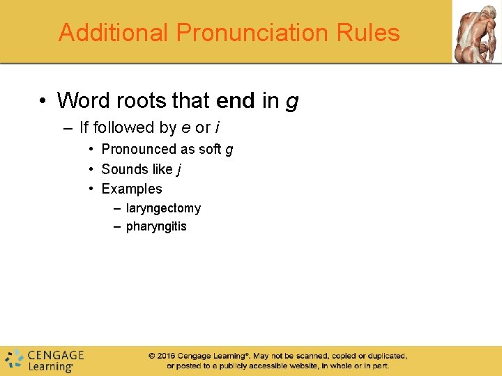 Additional Pronunciation Rules • Word roots that end in g – If followed by