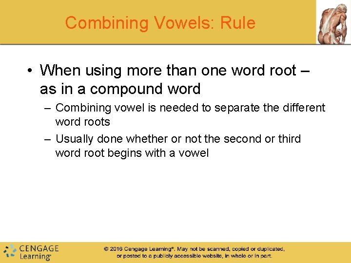 Combining Vowels: Rule • When using more than one word root – as in